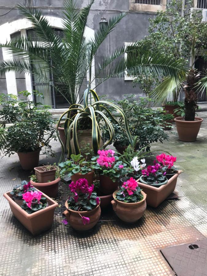 קטאניה Elegante Appartamento Centro Storico מראה חיצוני תמונה